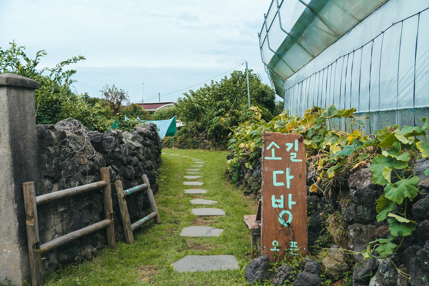 濟州島咖啡廳｜소길다방 Sogil Cafe 老宅裡享用下午茶