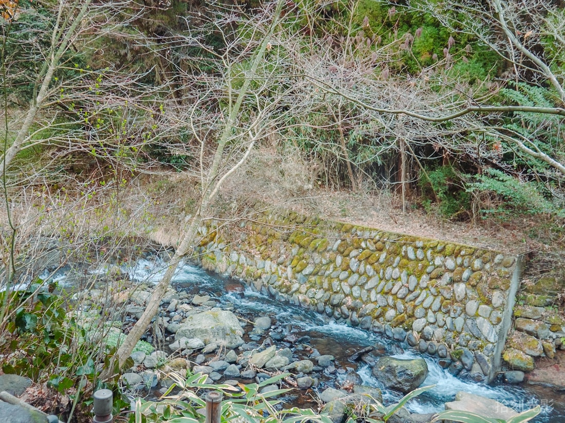 20241218-nnr69 20241218-nnr69