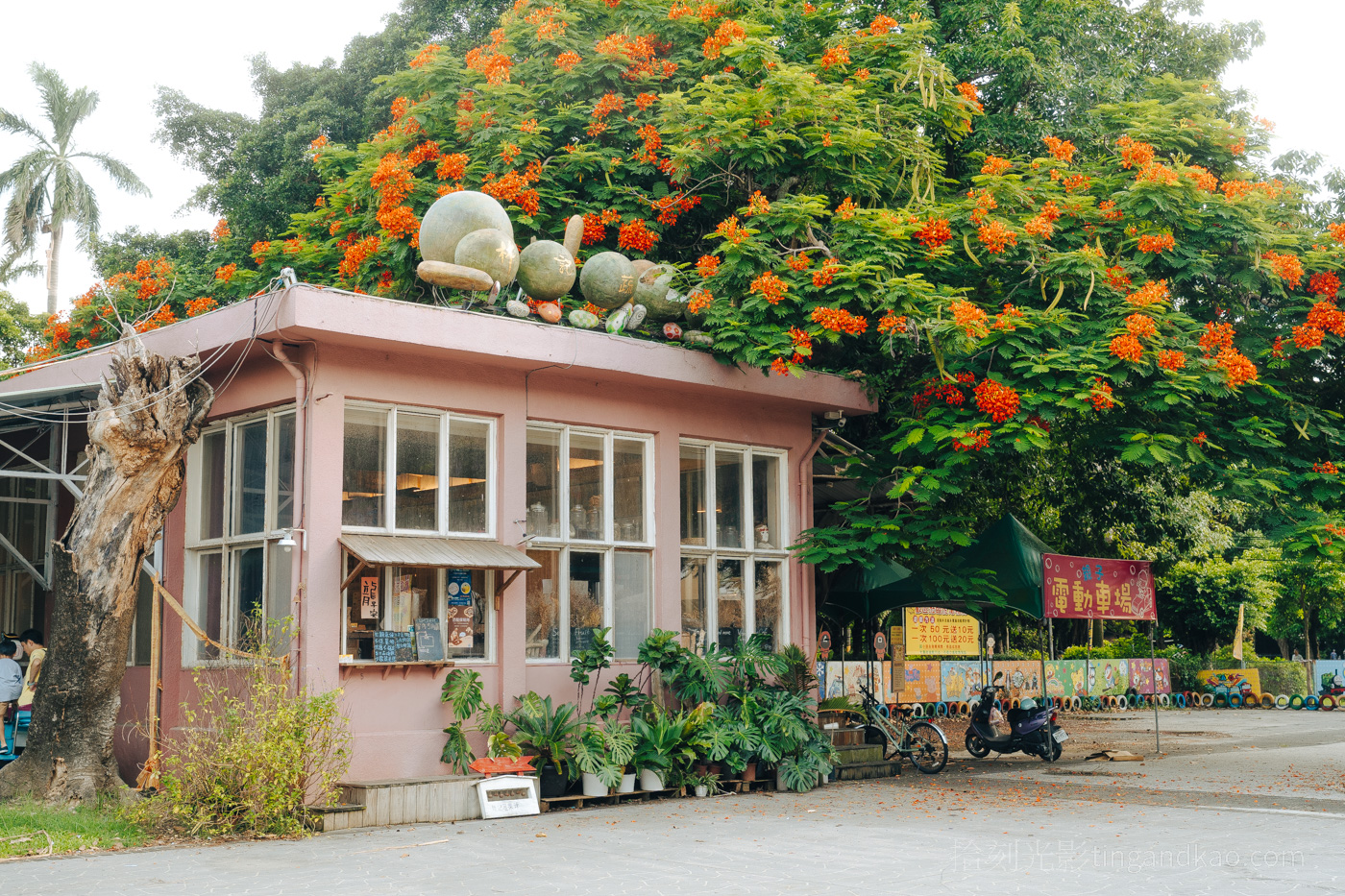 虎尾美食 | 在地蔬果特調「 林記蔬果汁」