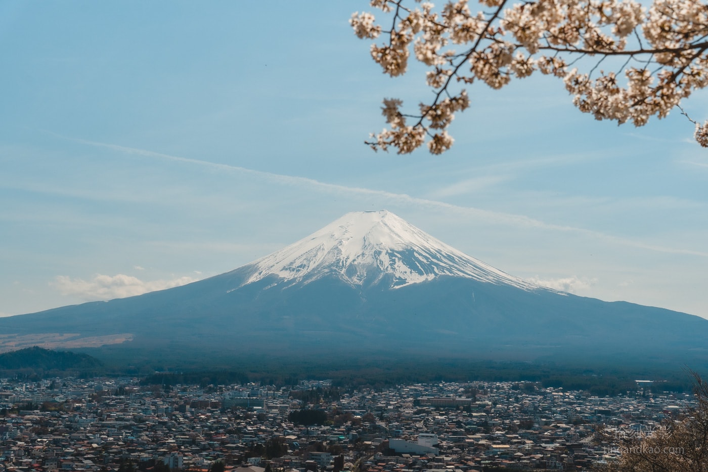 富士山自由行|下吉田巴士站到新倉山淺間神社&新倉山淺間公園攻略:五重塔、櫻花與富士山的最美組合 - 第22張圖