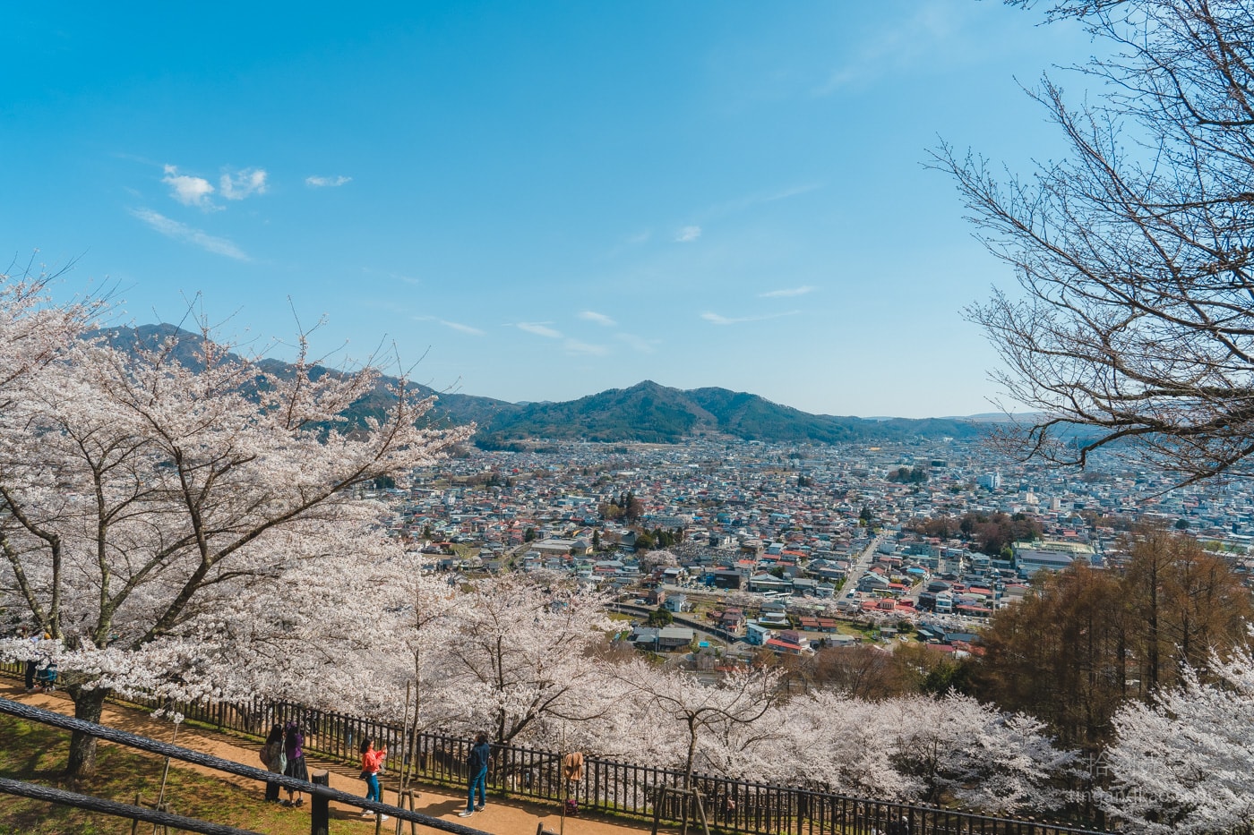 富士山自由行|下吉田巴士站到新倉山淺間神社&新倉山淺間公園攻略:五重塔、櫻花與富士山的最美組合 - 第16張圖