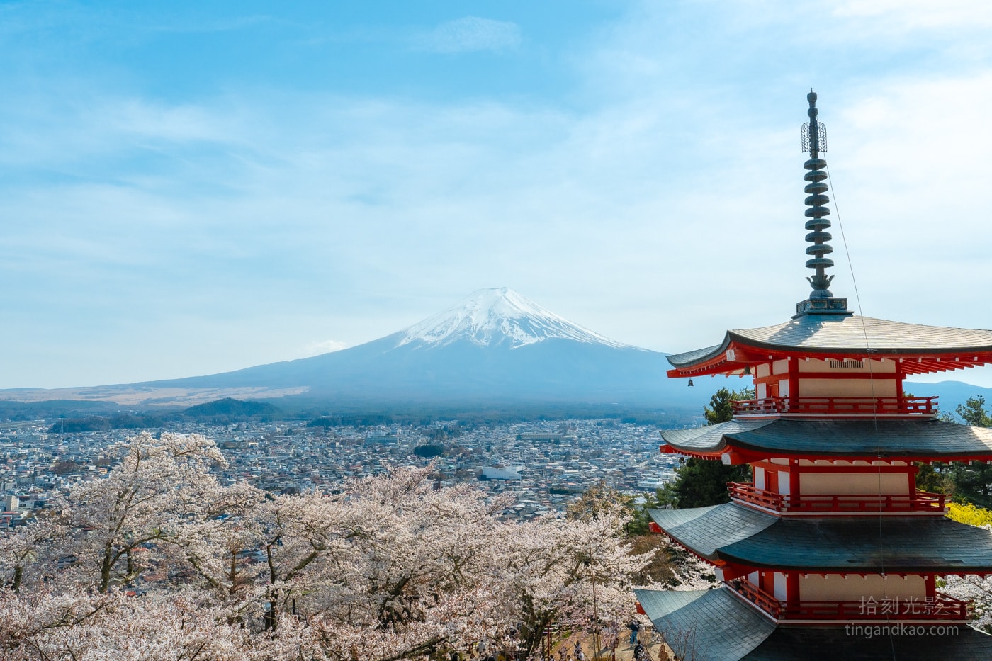 富士山自由行|下吉田巴士站到新倉山淺間神社&新倉山淺間公園攻略:五重塔、櫻花與富士山的最美組合 - 第20張圖