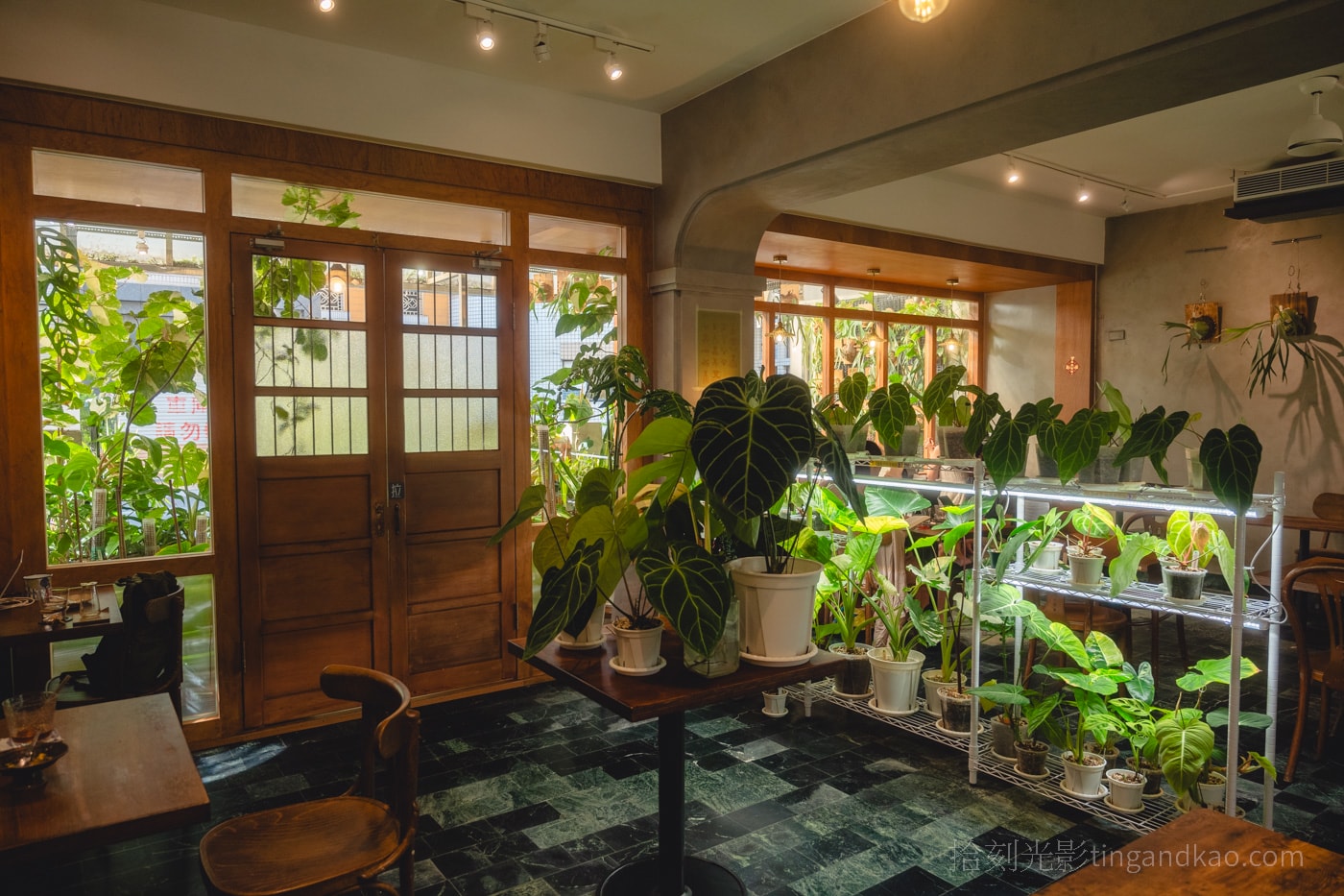 新竹靜謐咖啡館|蕨蕨咖啡,綠植環繞的放鬆空間 - 第3張圖