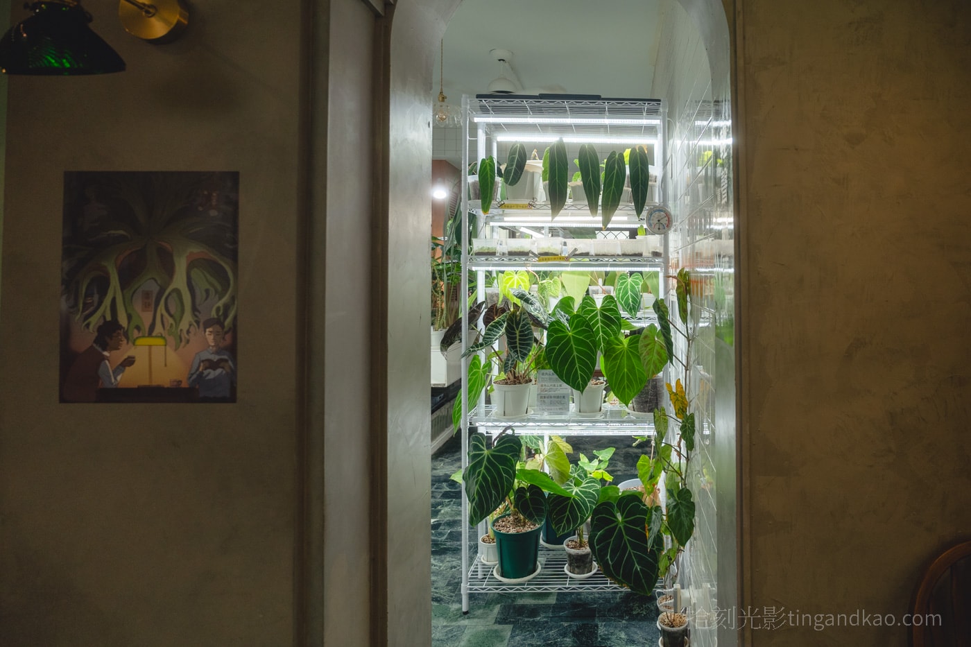新竹靜謐咖啡館|蕨蕨咖啡,綠植環繞的放鬆空間 - 第10張圖