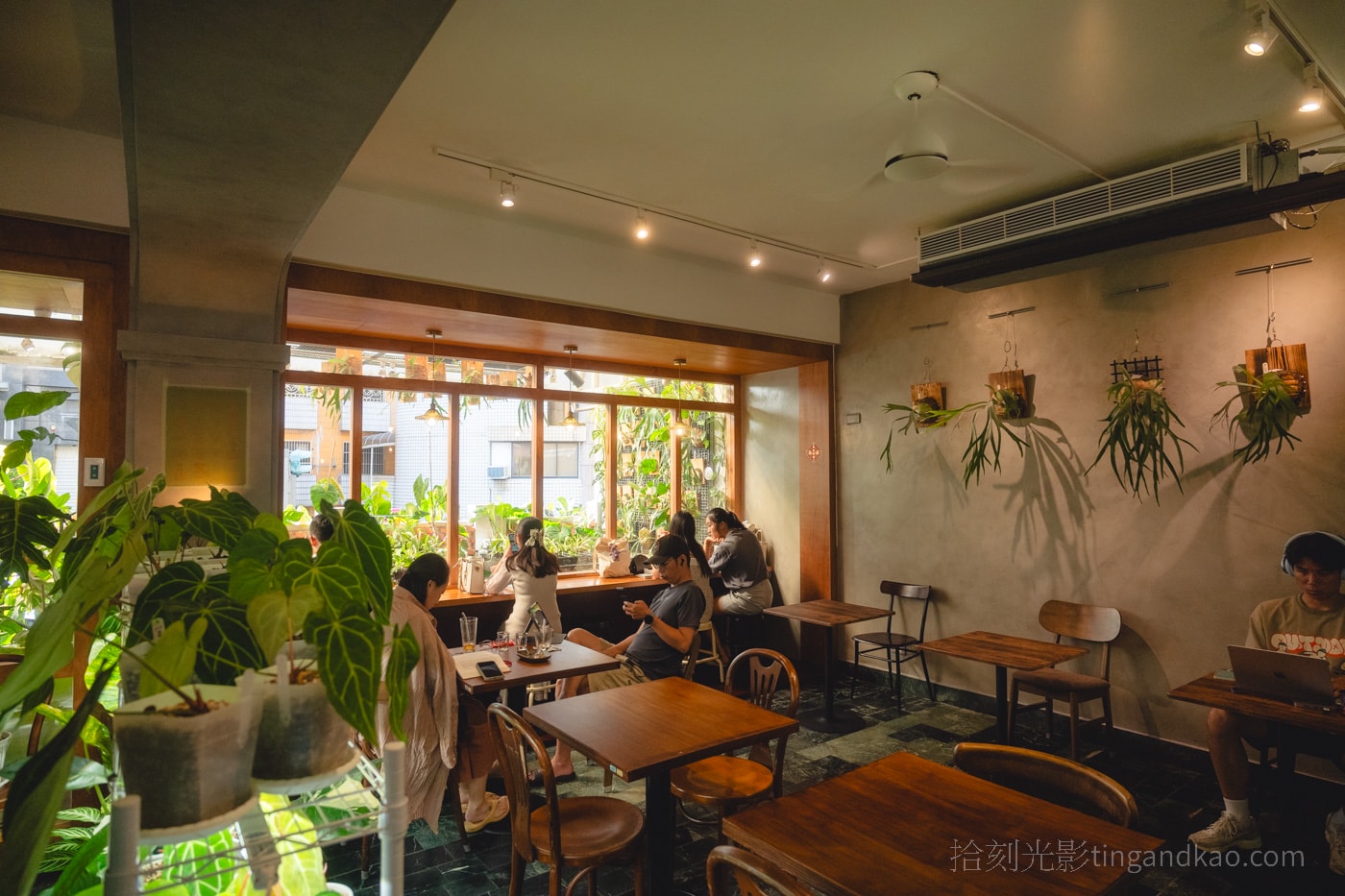 新竹靜謐咖啡館|蕨蕨咖啡,綠植環繞的放鬆空間 - 第1張圖 新竹靜謐咖啡館|蕨蕨咖啡,綠植環繞的放鬆空間