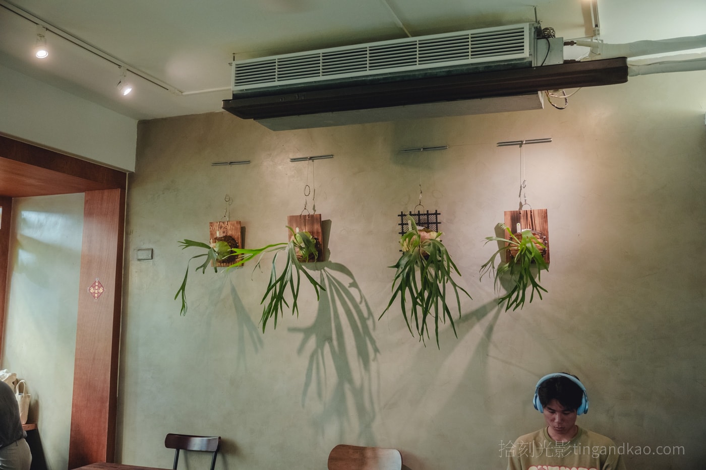 新竹靜謐咖啡館|蕨蕨咖啡,綠植環繞的放鬆空間 - 第4張圖