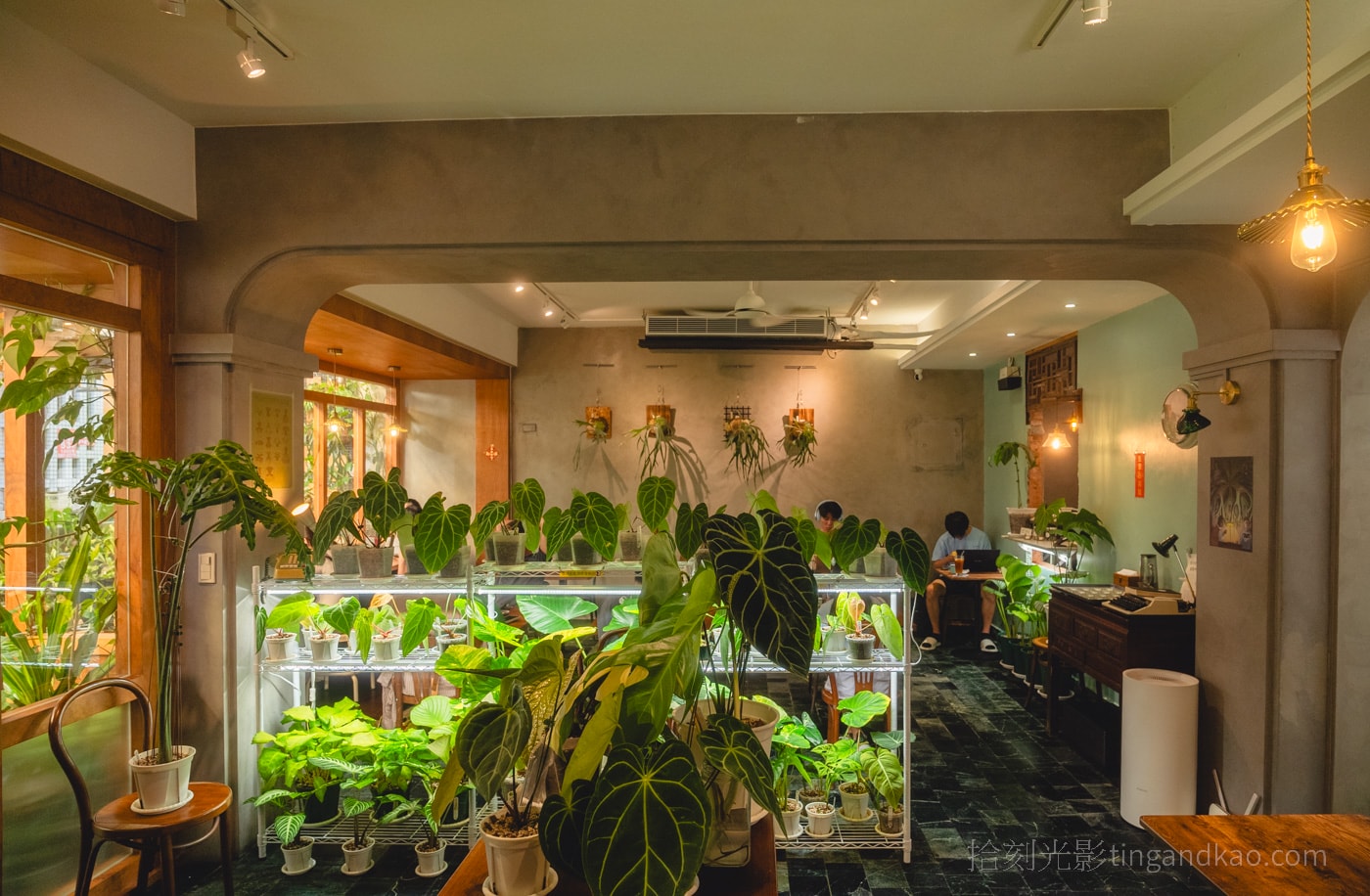 新竹靜謐咖啡館｜蕨蕨咖啡，綠植環繞的放鬆空間