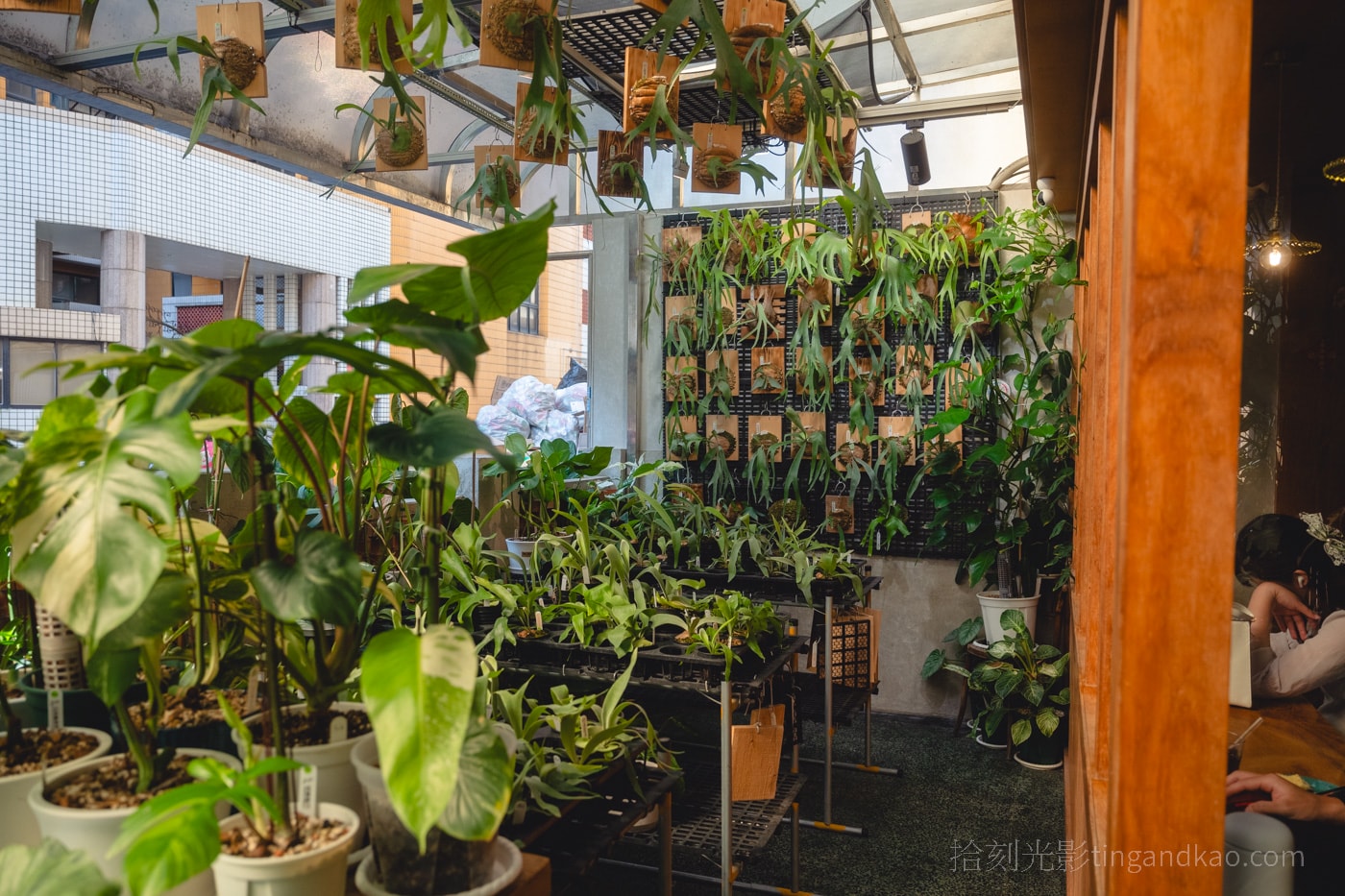 新竹靜謐咖啡館|蕨蕨咖啡,綠植環繞的放鬆空間 - 第6張圖