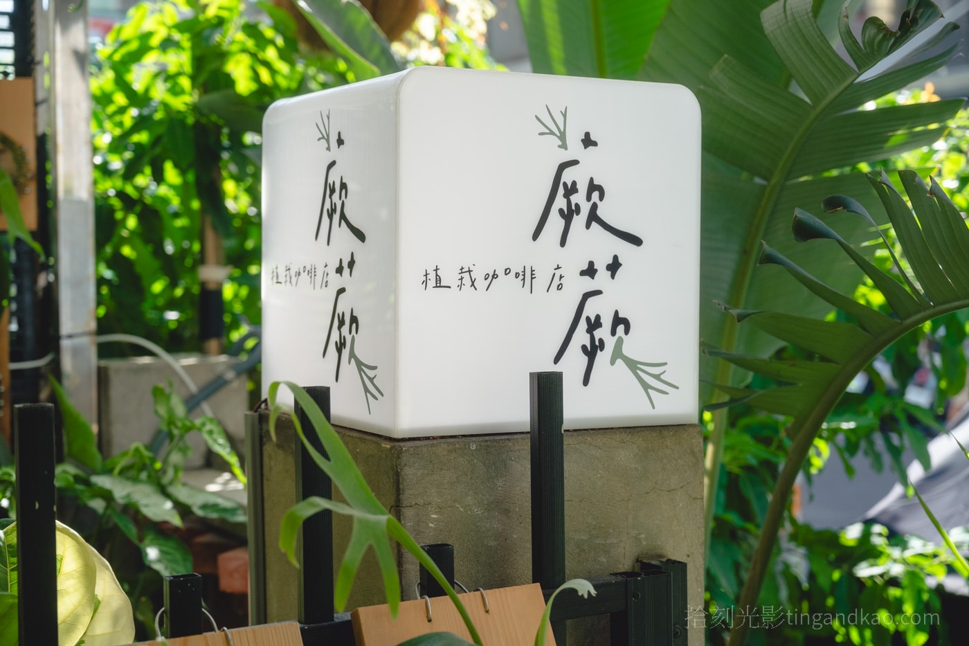 新竹靜謐咖啡館|蕨蕨咖啡,綠植環繞的放鬆空間 - 第2張圖