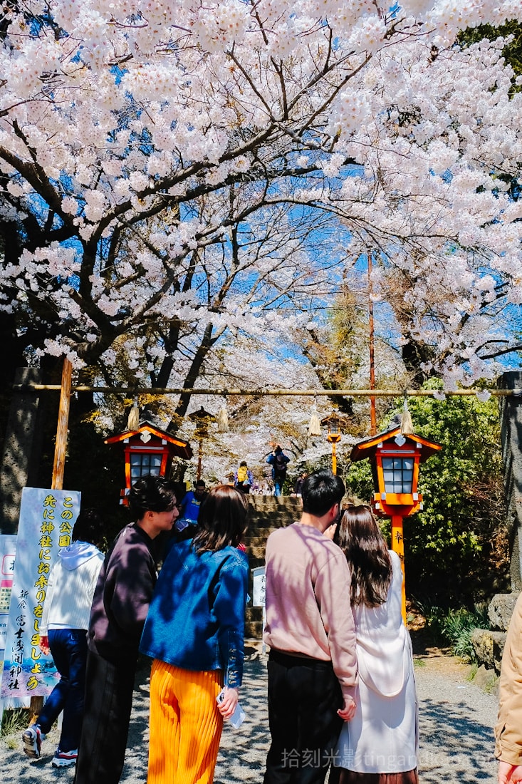 富士山自由行|下吉田巴士站到新倉山淺間神社&新倉山淺間公園攻略:五重塔、櫻花與富士山的最美組合 - 第9張圖