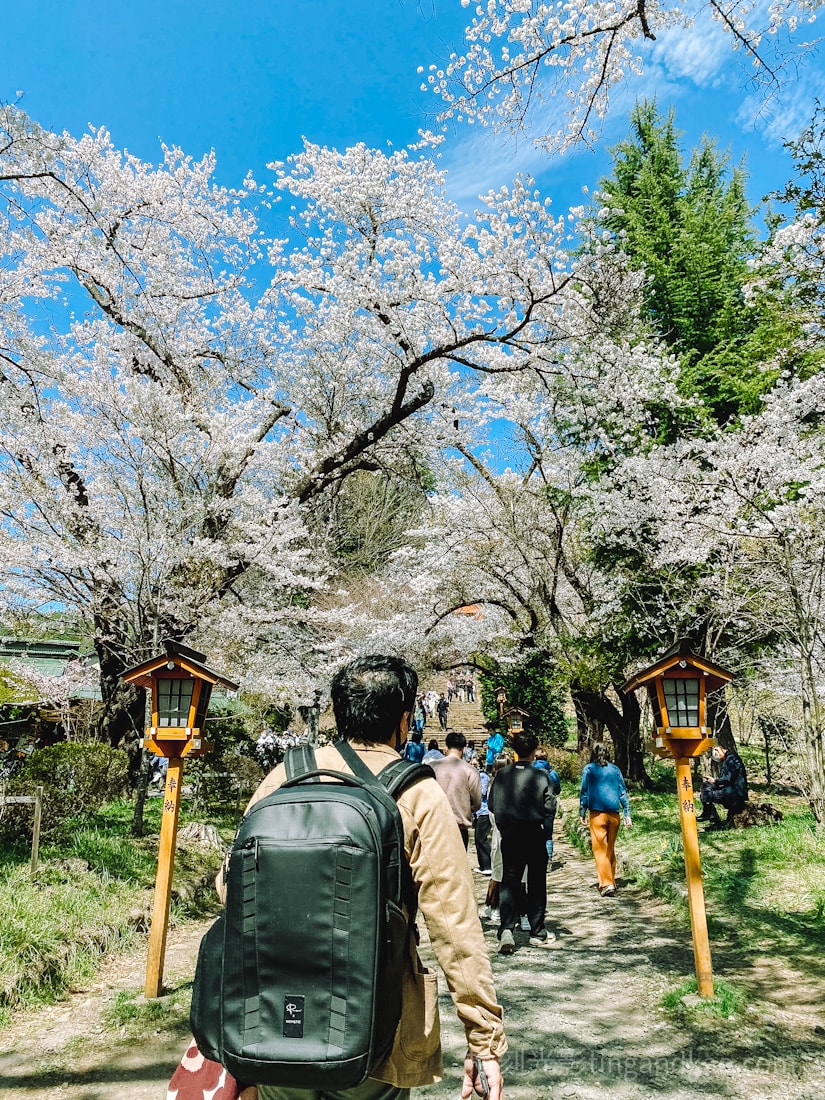 富士山自由行|下吉田巴士站到新倉山淺間神社&新倉山淺間公園攻略:五重塔、櫻花與富士山的最美組合 - 第8張圖