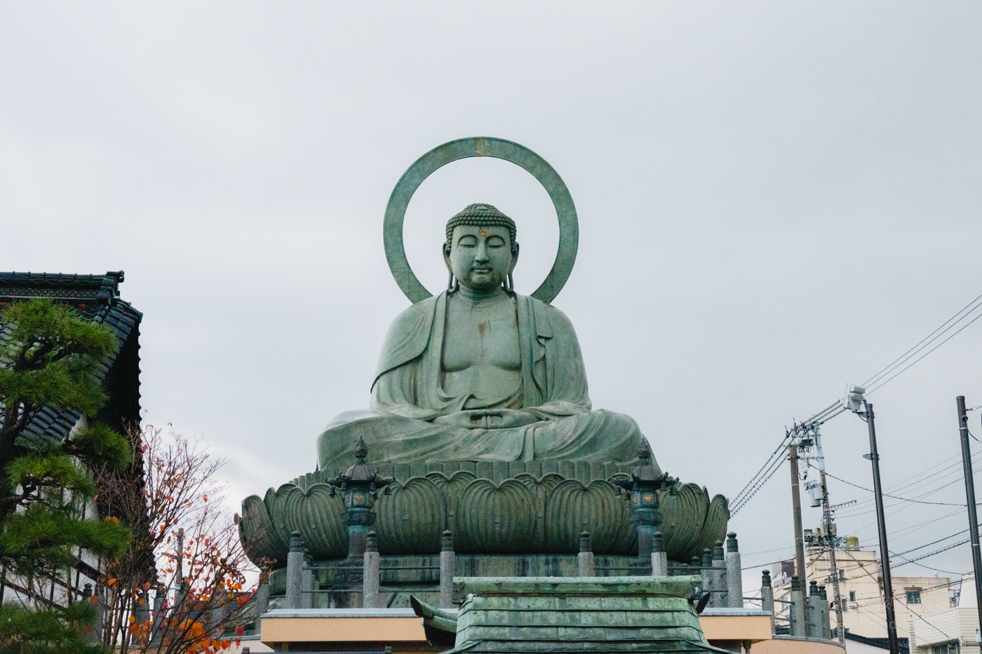 高岡景點｜高岡大佛參觀全攻略