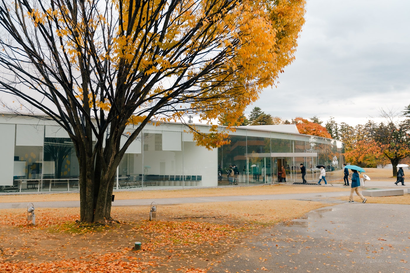 金澤景點|21世紀美術館交通門票、建築設計、展覽介紹完整指南 - 第9張圖