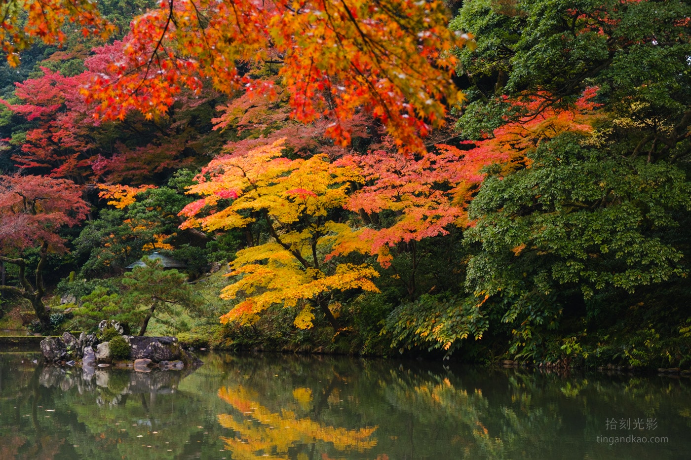 【金澤景點】兼六園攻略：日本三大名園完整導覽 | 四季景色、交通方式、門票資訊
