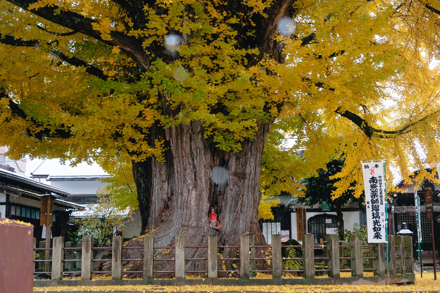 Hida Kokubunji