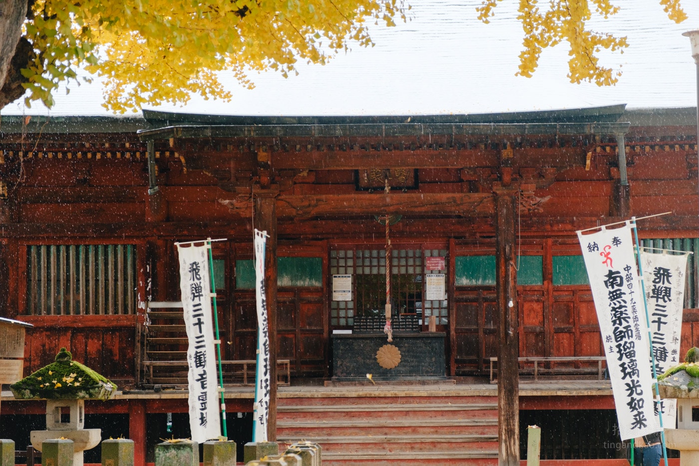 飛驒高山景點|國分寺千年大銀杏 - 第12張圖