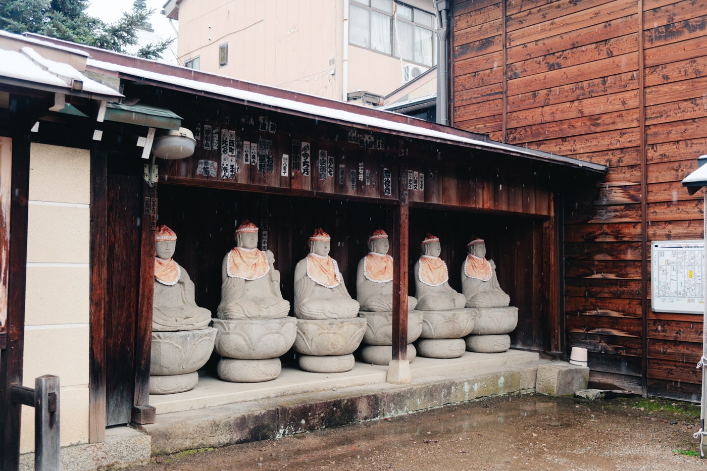 飛驒高山景點|國分寺千年大銀杏 - 第23張圖