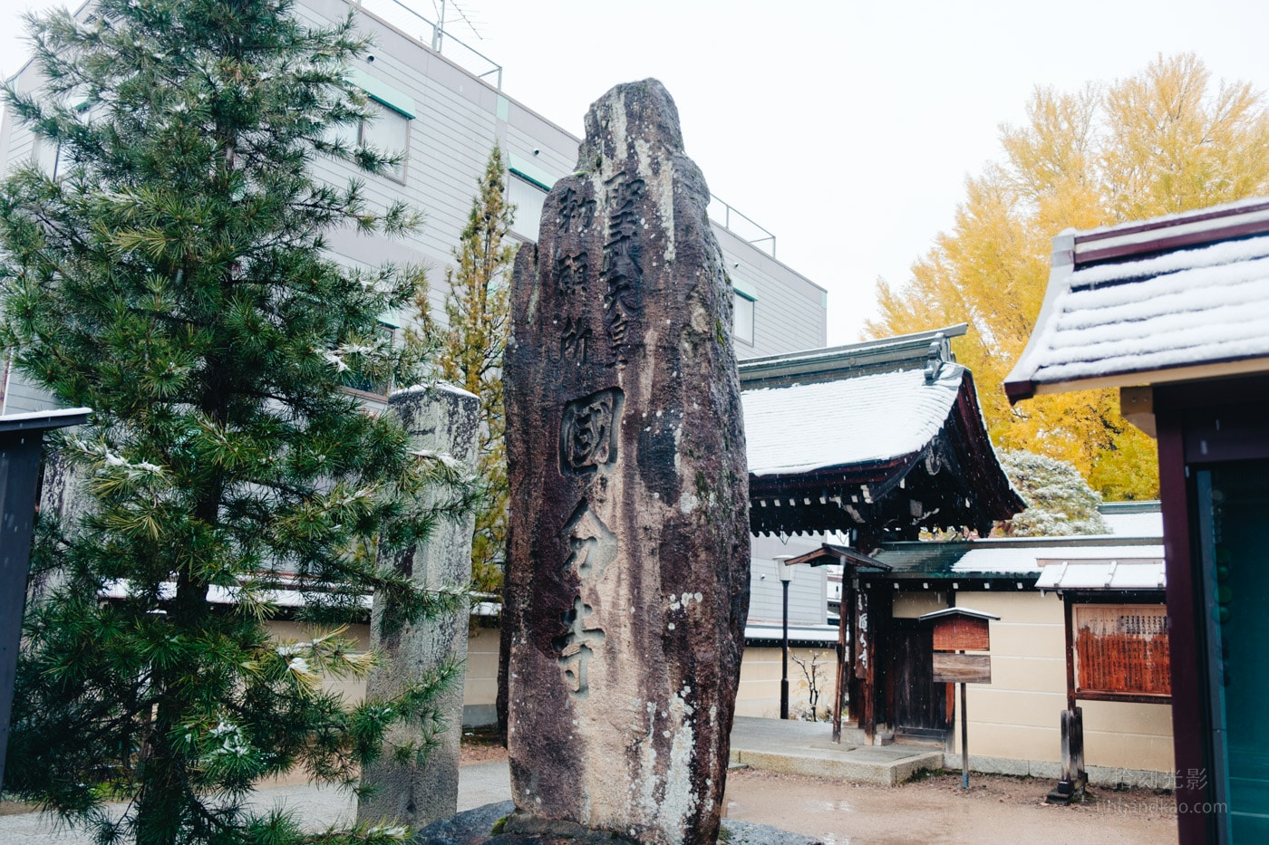 飛驒高山景點|國分寺千年大銀杏 - 第2張圖