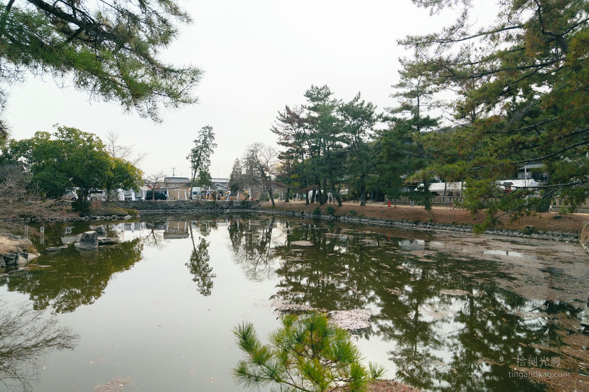 岡山景點|桃太郎詩籤 桃子御守 吉備津彥神社 - 第6張圖