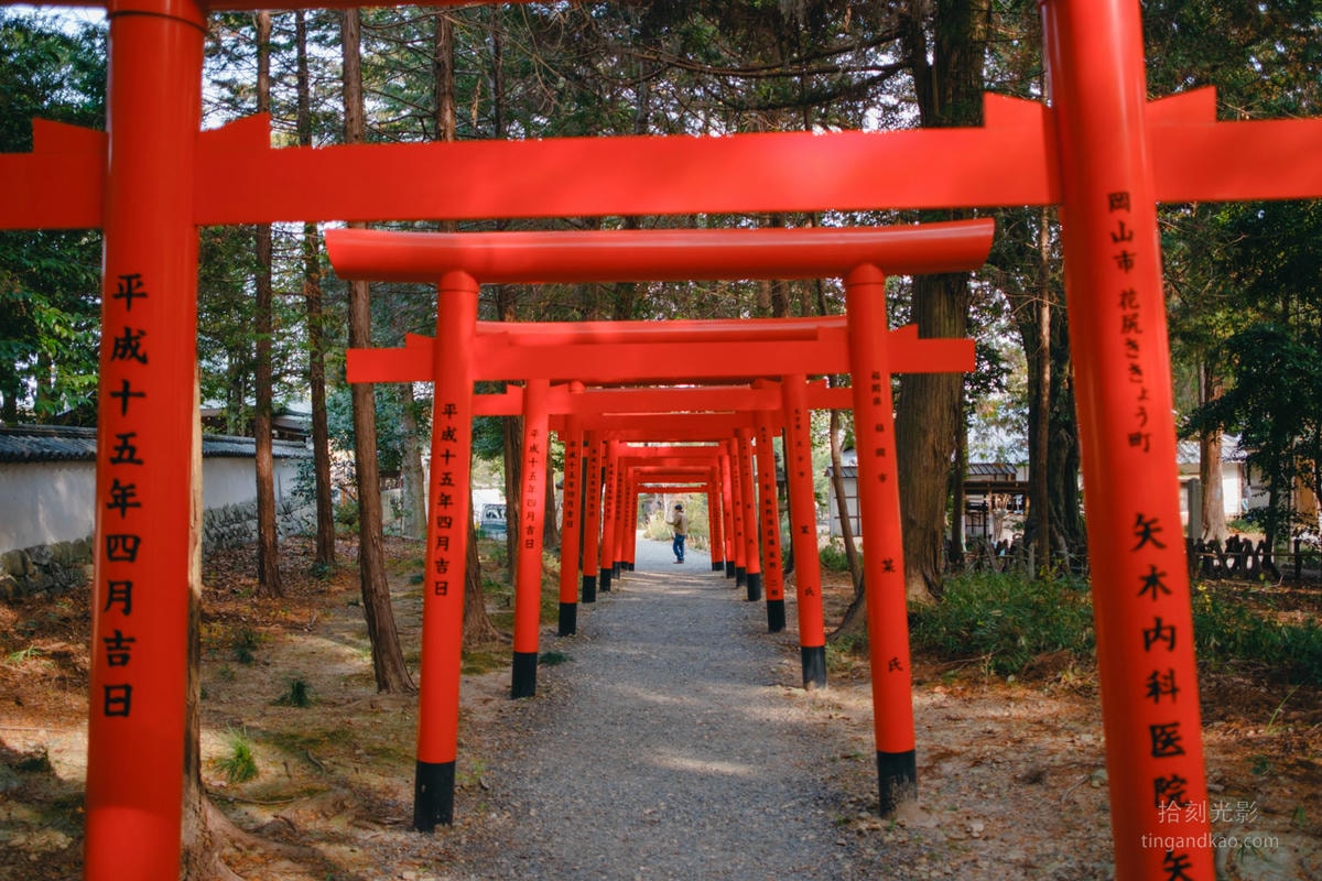 岡山景點|桃太郎詩籤 桃子御守 吉備津彥神社 - 第20張圖