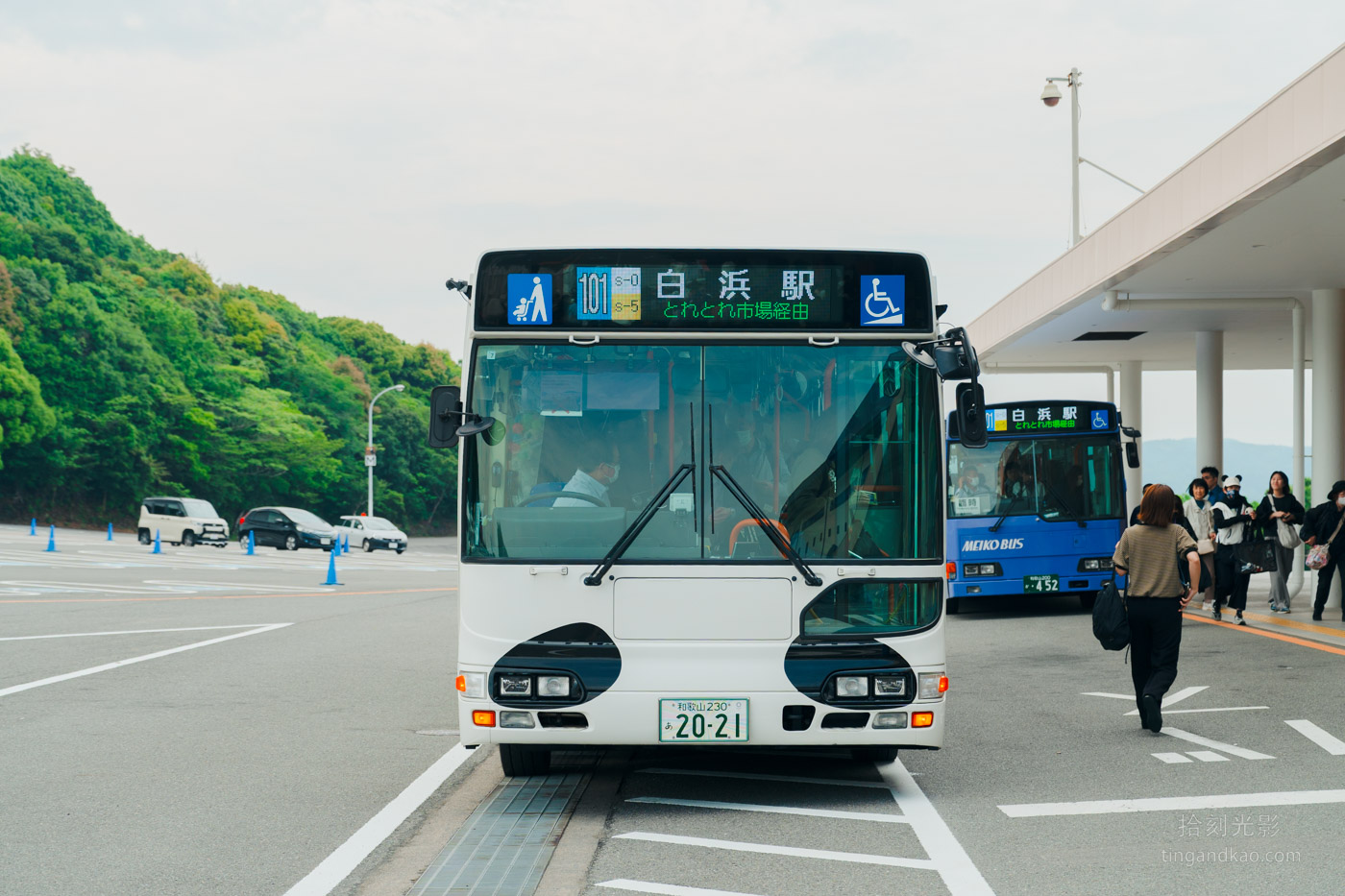 2025和歌山冒險大世界完整攻略|門票交通美食全指南|熊貓樂園一日遊 - 第7張圖