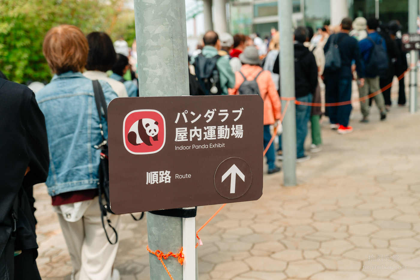2025和歌山冒險大世界完整攻略|門票交通美食全指南|熊貓樂園一日遊 - 第16張圖
