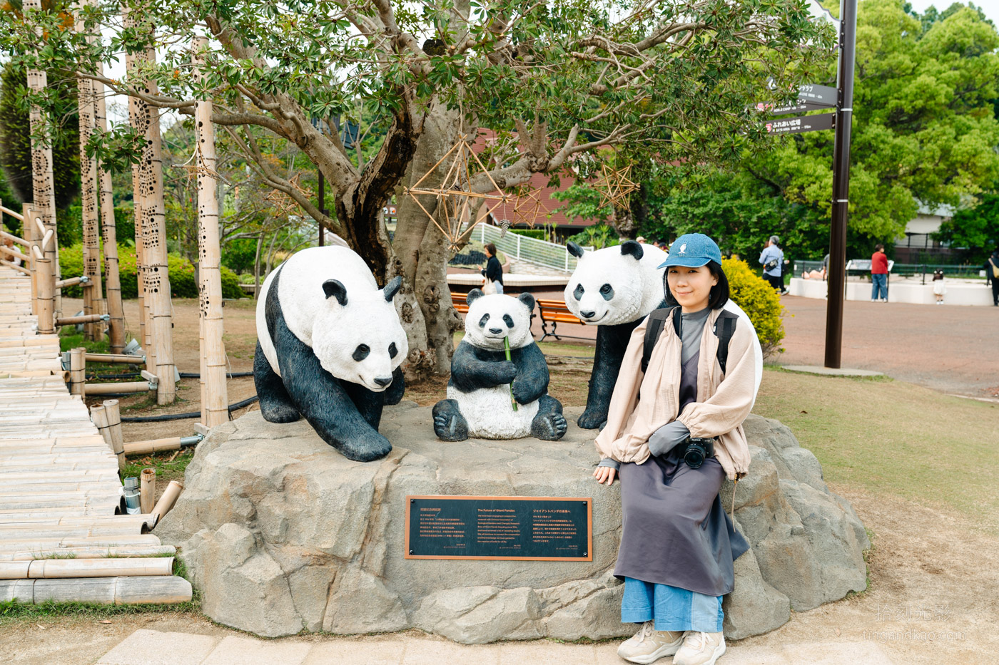2025和歌山冒險大世界完整攻略|門票交通美食全指南|熊貓樂園一日遊 - 第15張圖
