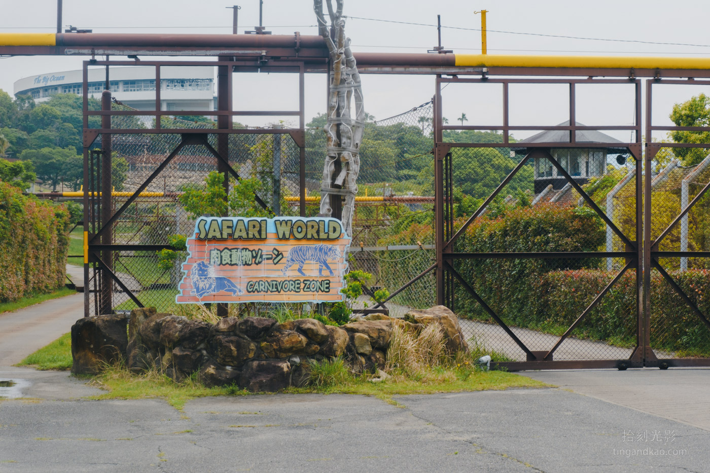 2025和歌山冒險大世界完整攻略|門票交通美食全指南|熊貓樂園一日遊 - 第38張圖