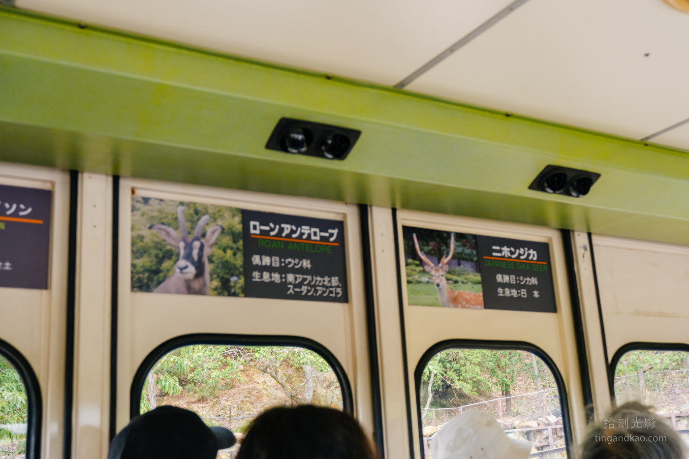 2025和歌山冒險大世界完整攻略|門票交通美食全指南|熊貓樂園一日遊 - 第37張圖