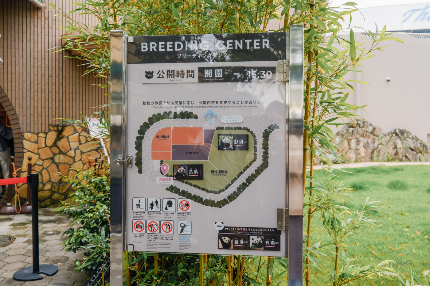 2025和歌山冒險大世界完整攻略|門票交通美食全指南|熊貓樂園一日遊 - 第26張圖