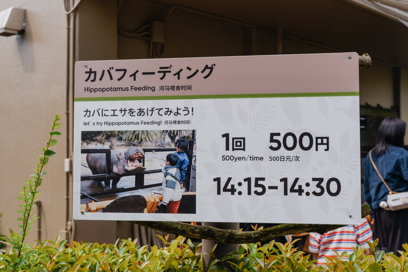 2025和歌山冒險大世界完整攻略|門票交通美食全指南|熊貓樂園一日遊 - 第76張圖