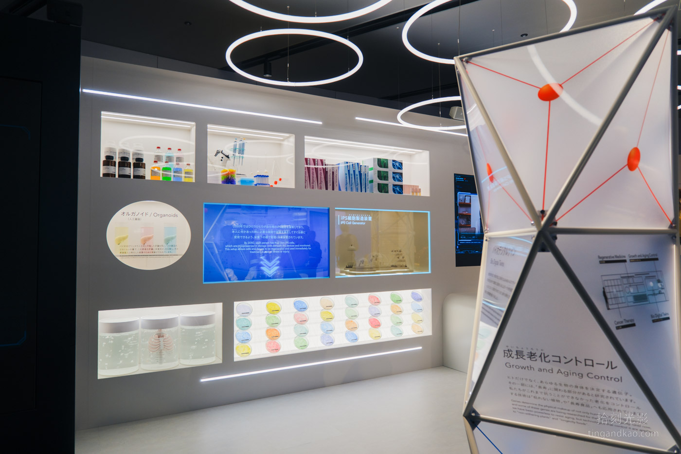 大阪萬博 | 大阪健康照護展覽館 Nest for Reborn - 第48張圖