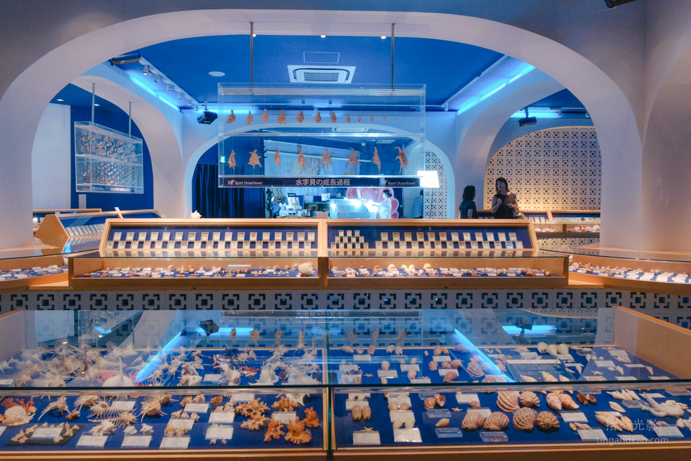 沖繩北部景點|古宇利海洋塔,戀之島上的絕美海景瞭望台 - 第15張圖