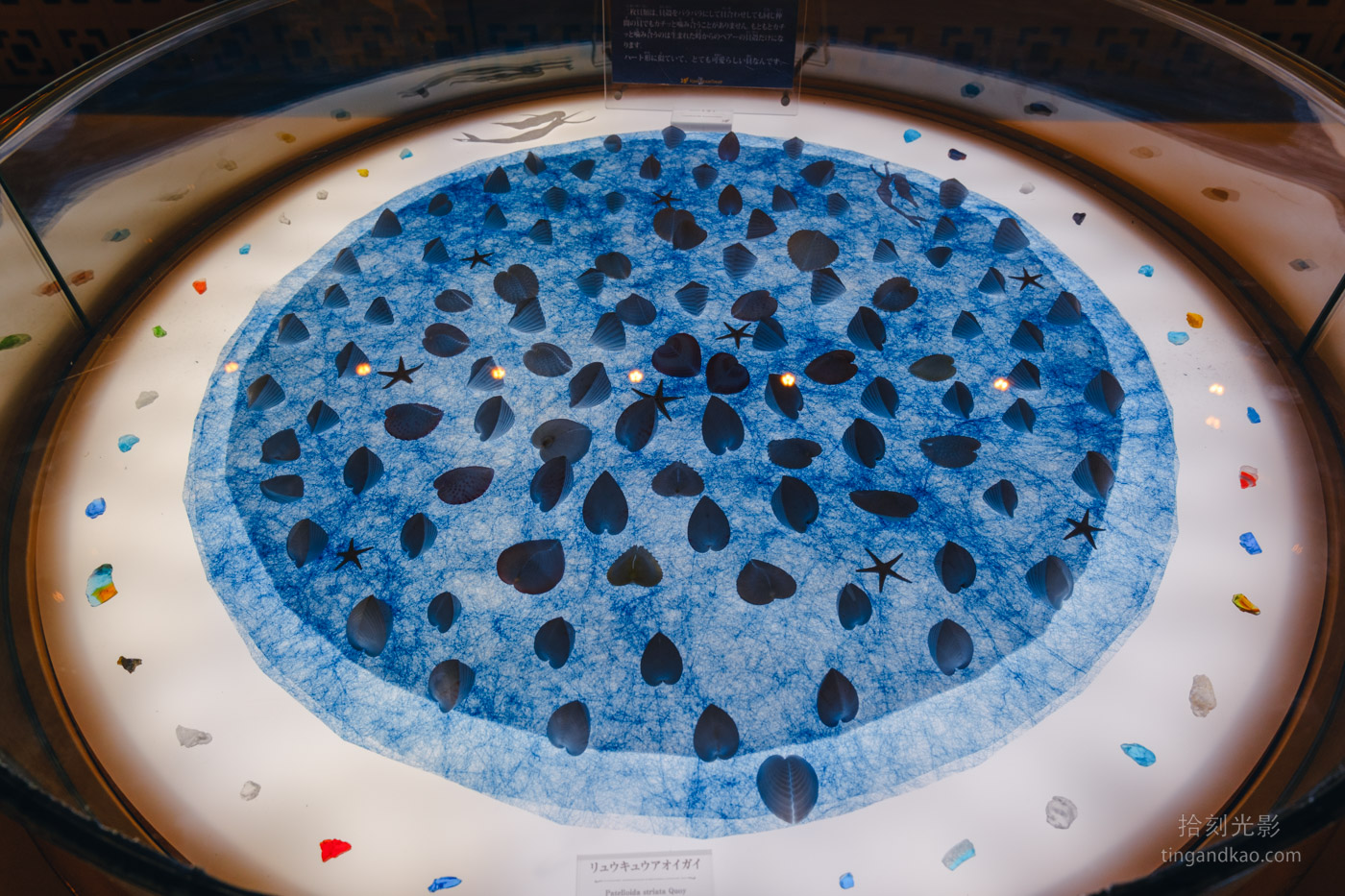 沖繩北部景點|古宇利海洋塔,戀之島上的絕美海景瞭望台 - 第16張圖