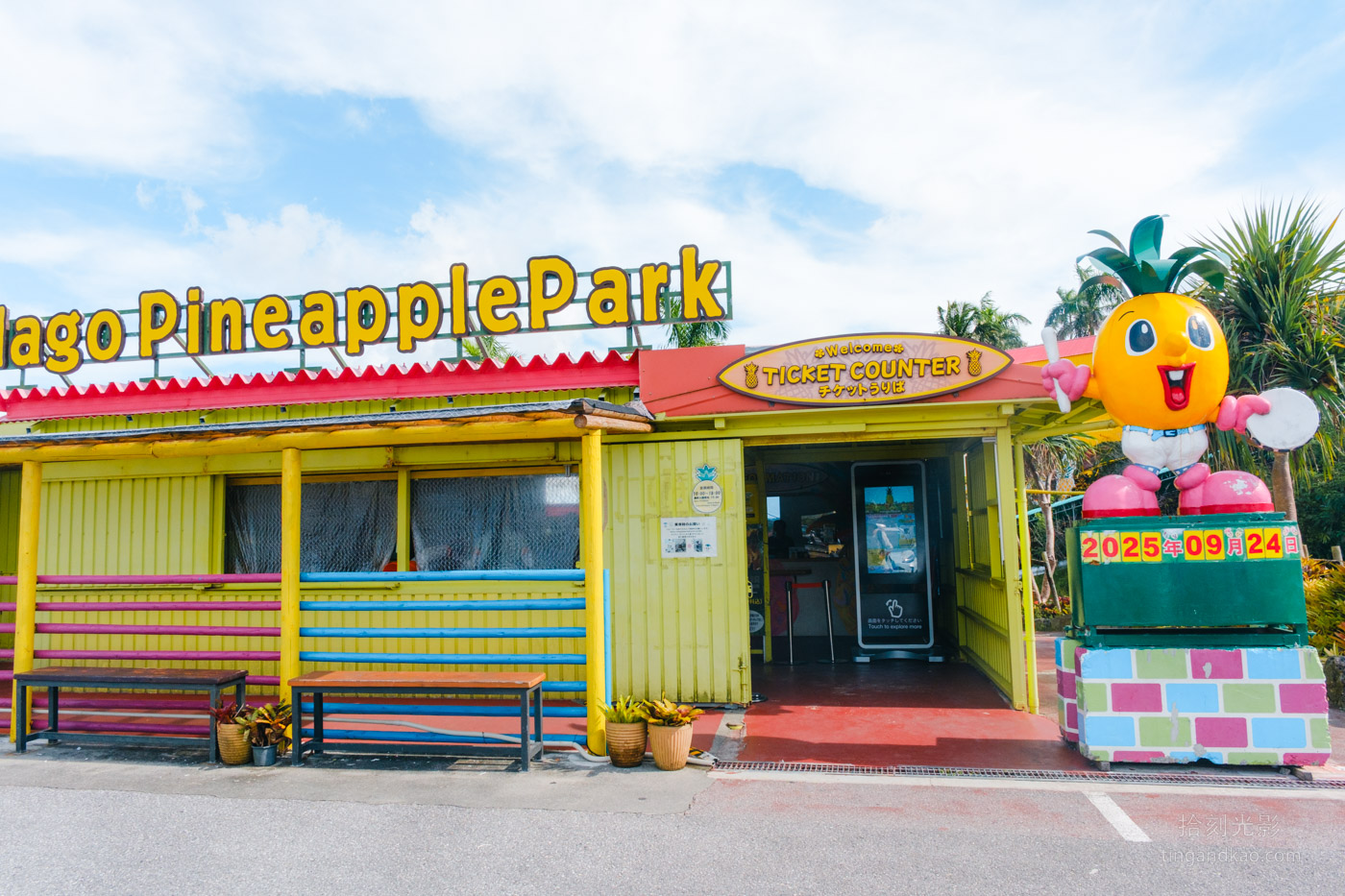 沖繩景點｜名護鳳梨園 親子遊推薦