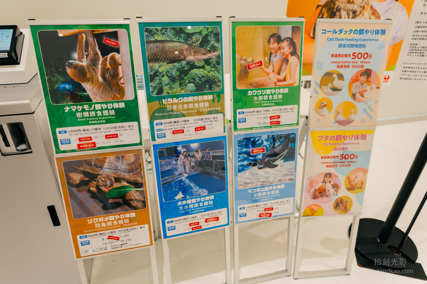 沖繩景點｜DMM水族館 親子互動×餵食體驗全攻略