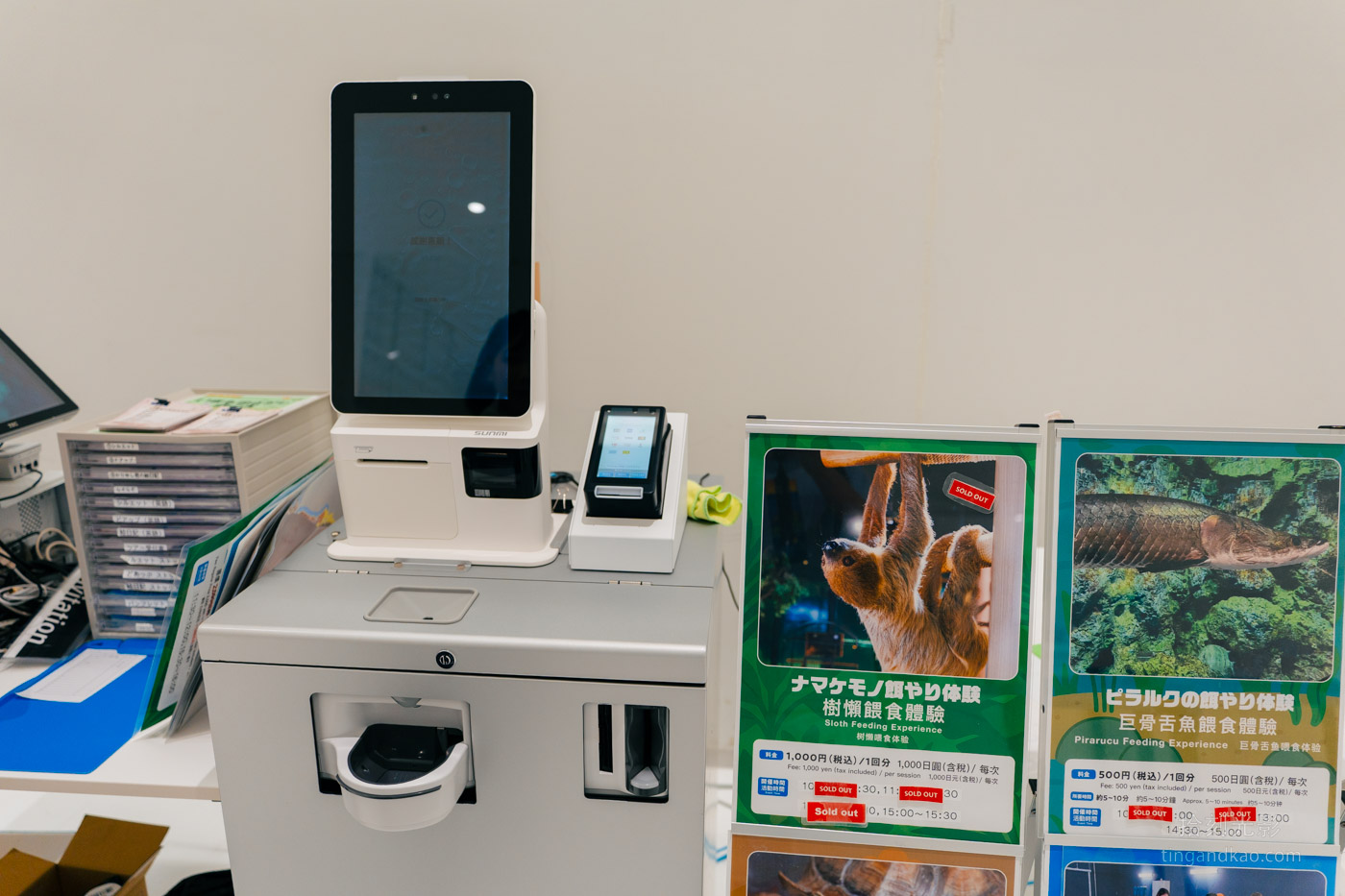 沖繩景點｜DMM水族館 親子互動×餵食體驗全攻略