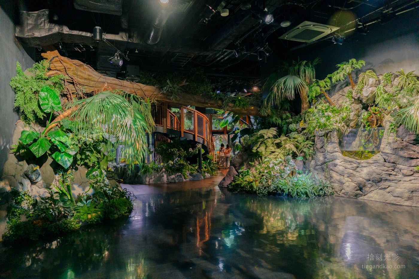 沖繩景點｜DMM水族館 親子互動×餵食體驗全攻略