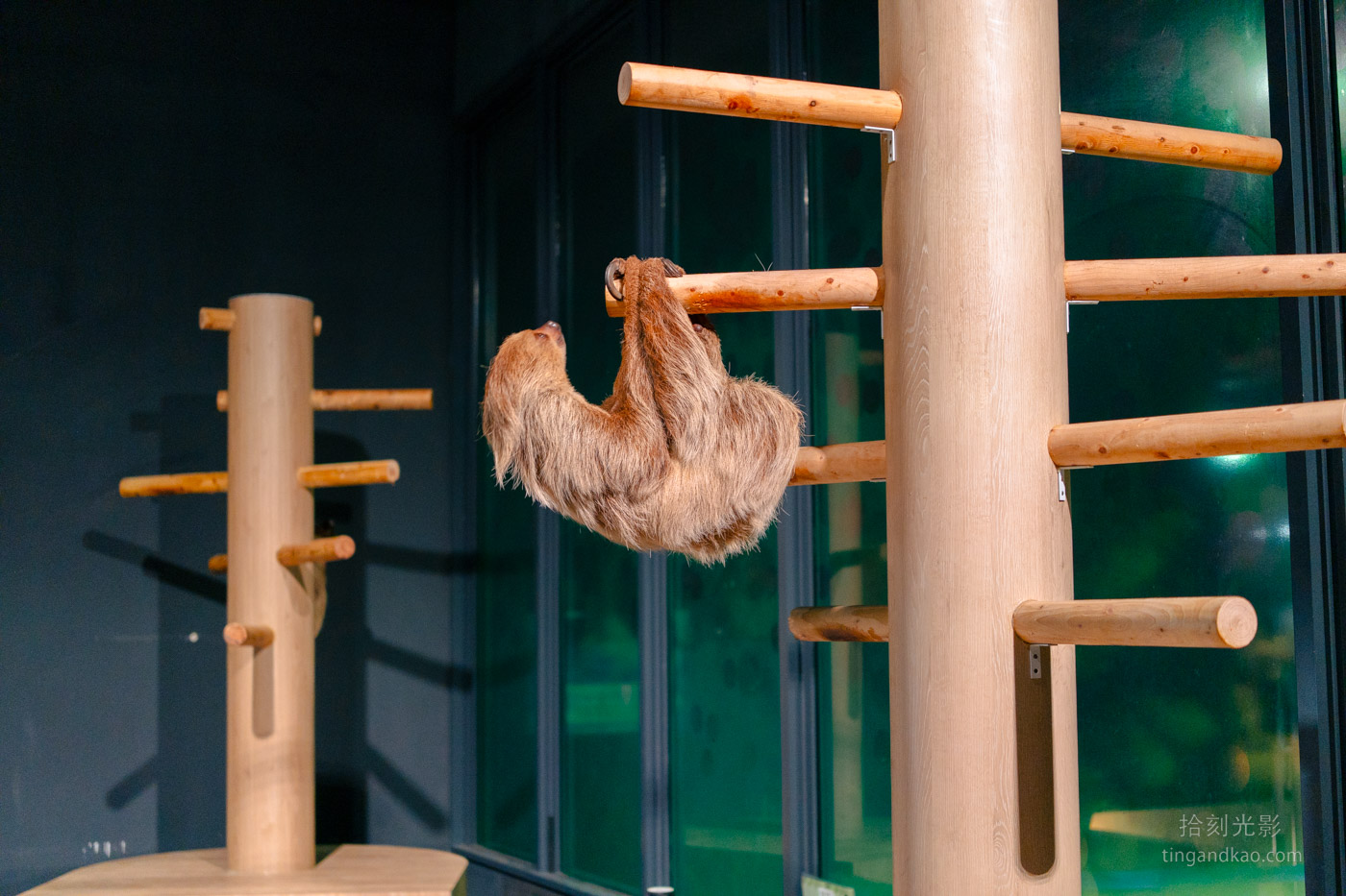 沖繩景點｜DMM水族館 親子互動×餵食體驗全攻略