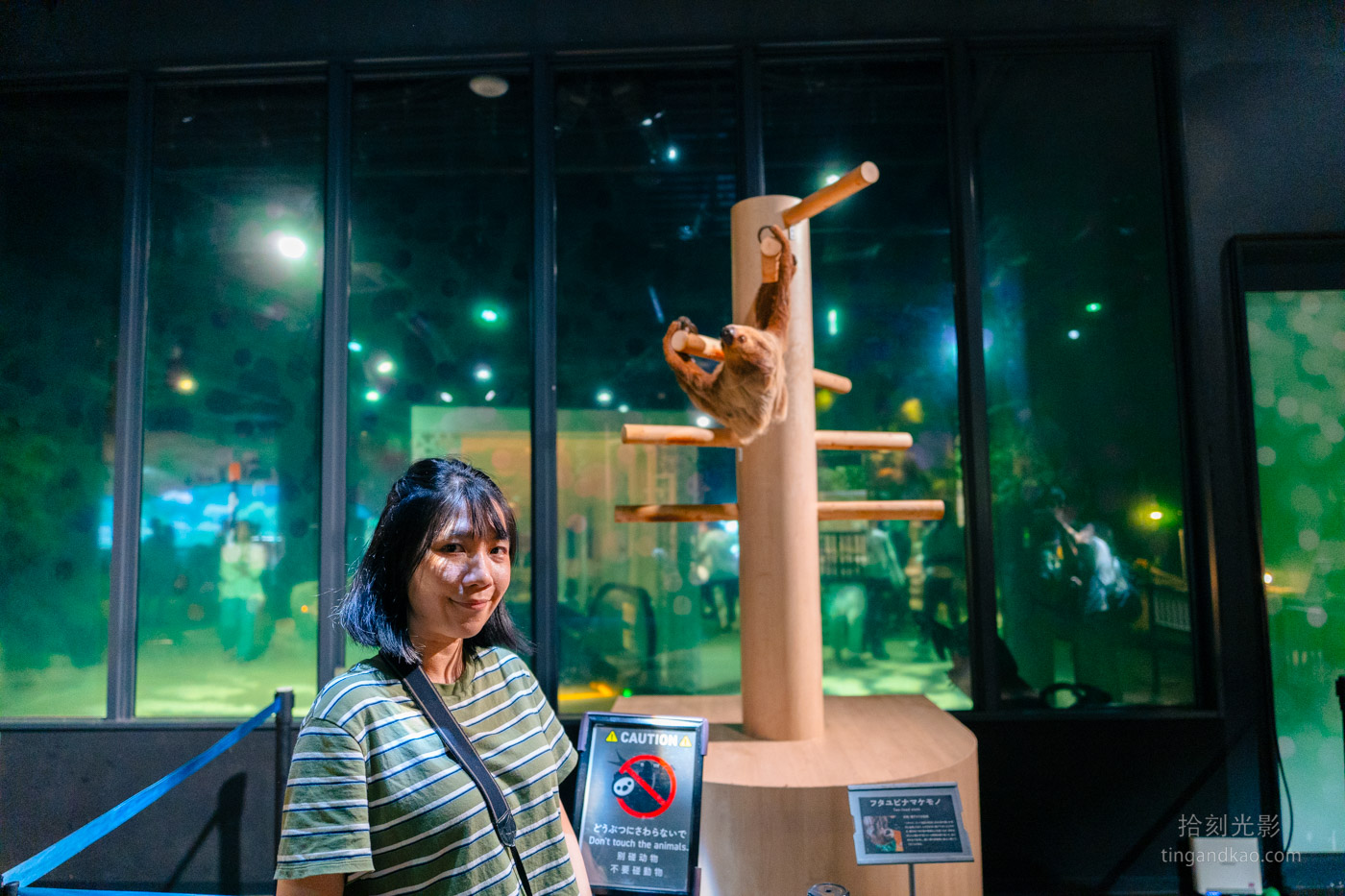 沖繩景點｜DMM水族館 親子互動×餵食體驗全攻略