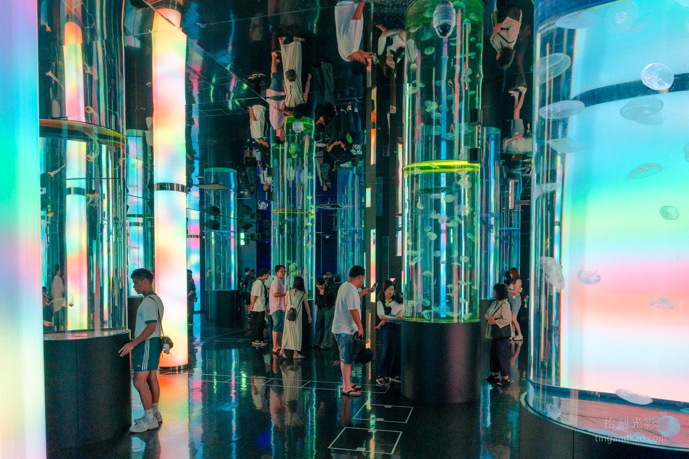 沖繩景點｜DMM水族館 親子互動×餵食體驗全攻略