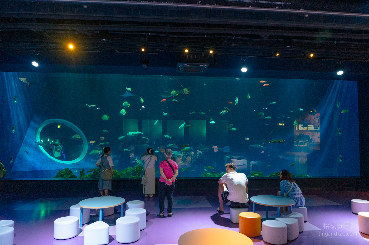 沖繩景點｜DMM水族館 親子互動×餵食體驗全攻略