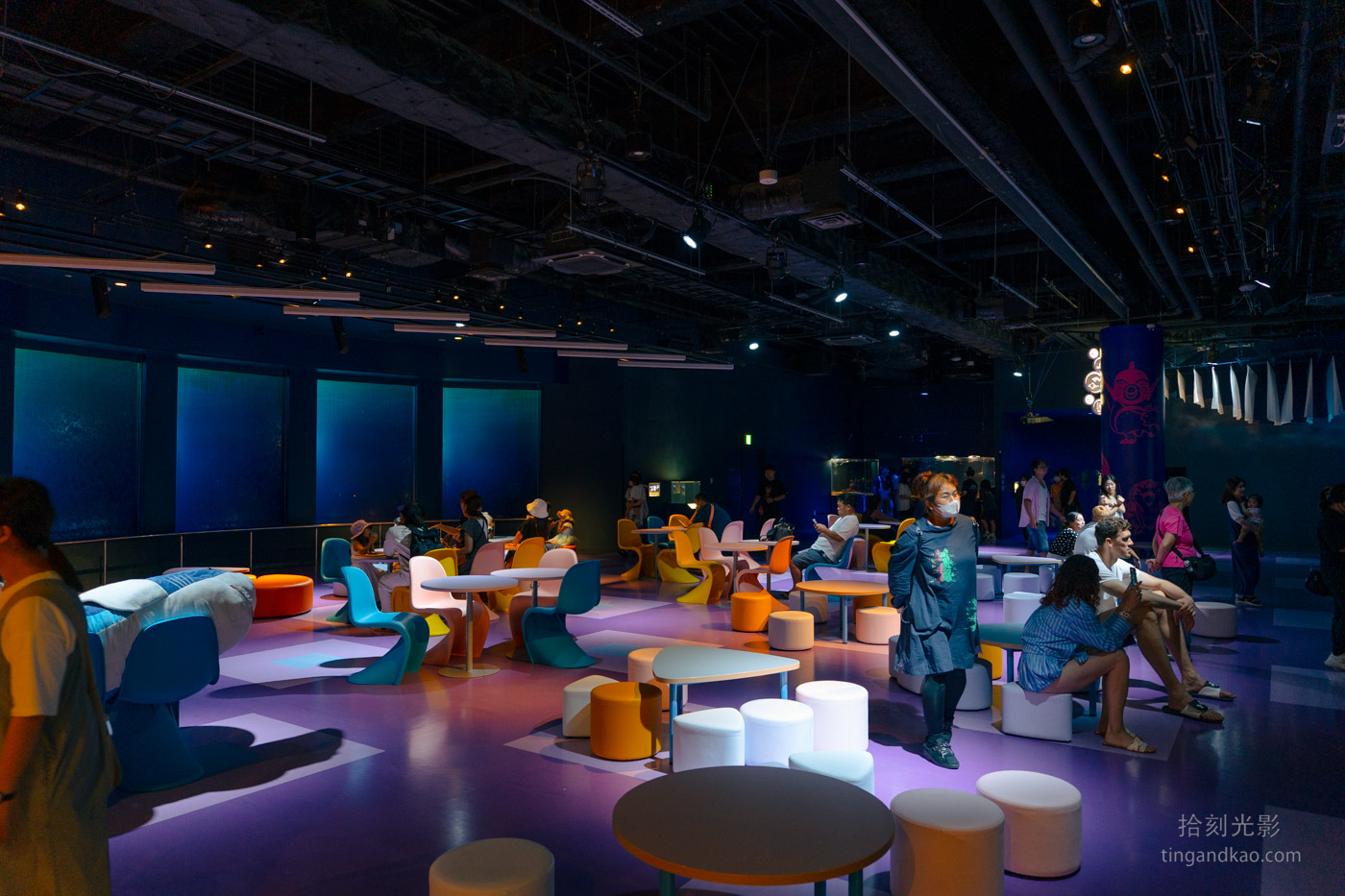 沖繩景點｜DMM水族館 親子互動×餵食體驗全攻略