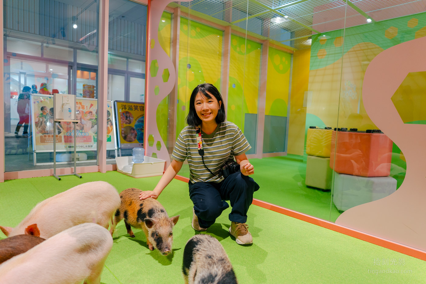 沖繩景點｜DMM水族館 親子互動×餵食體驗全攻略