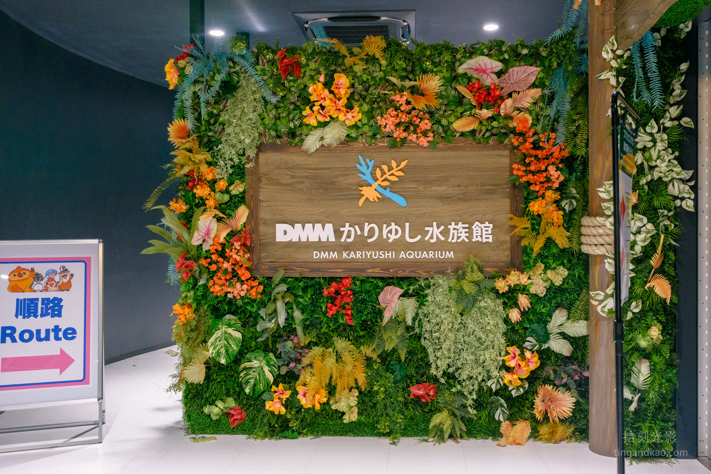 沖繩景點｜DMM水族館 親子互動×餵食體驗全攻略