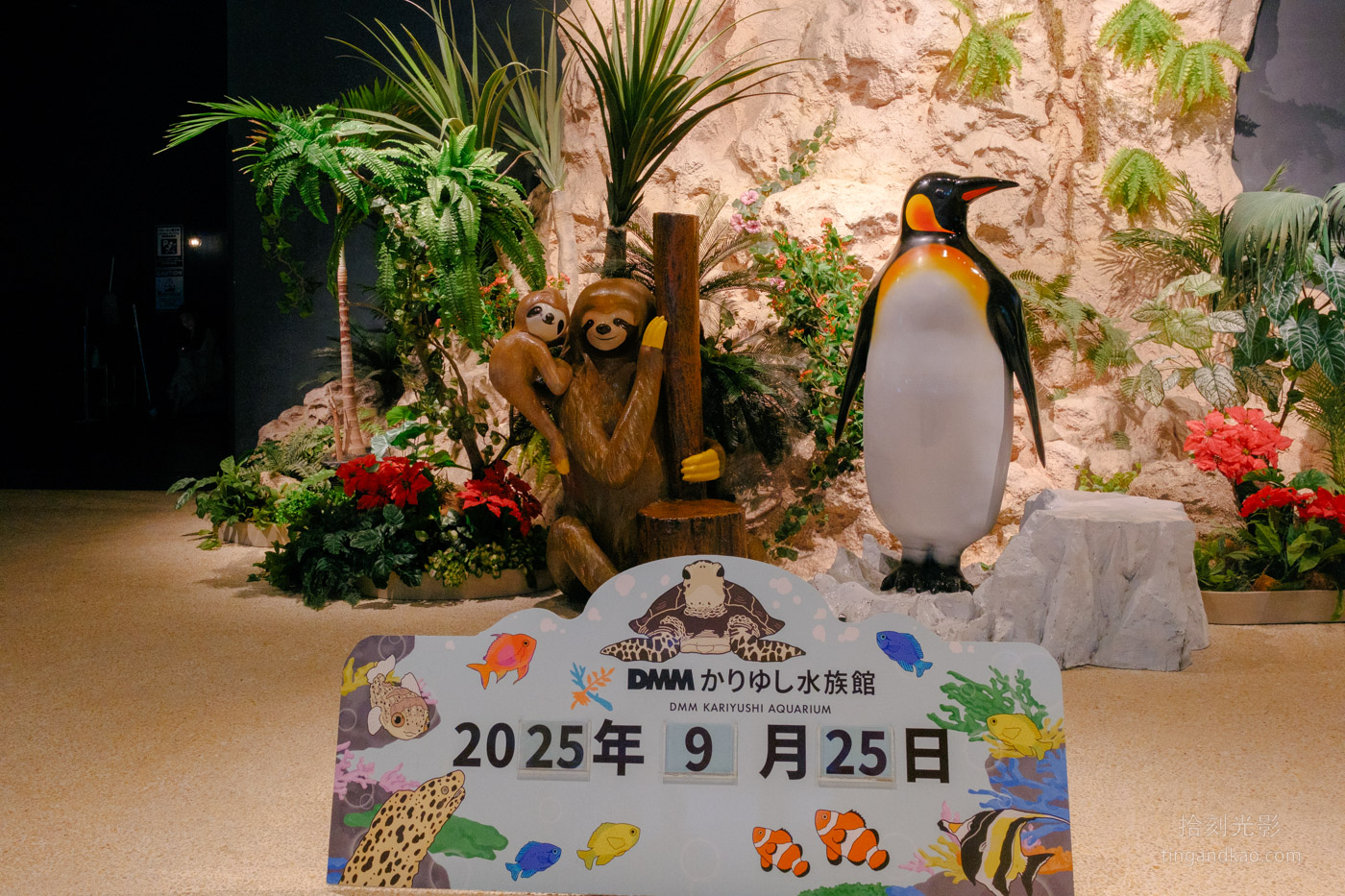 沖繩景點｜DMM水族館 親子互動×餵食體驗全攻略