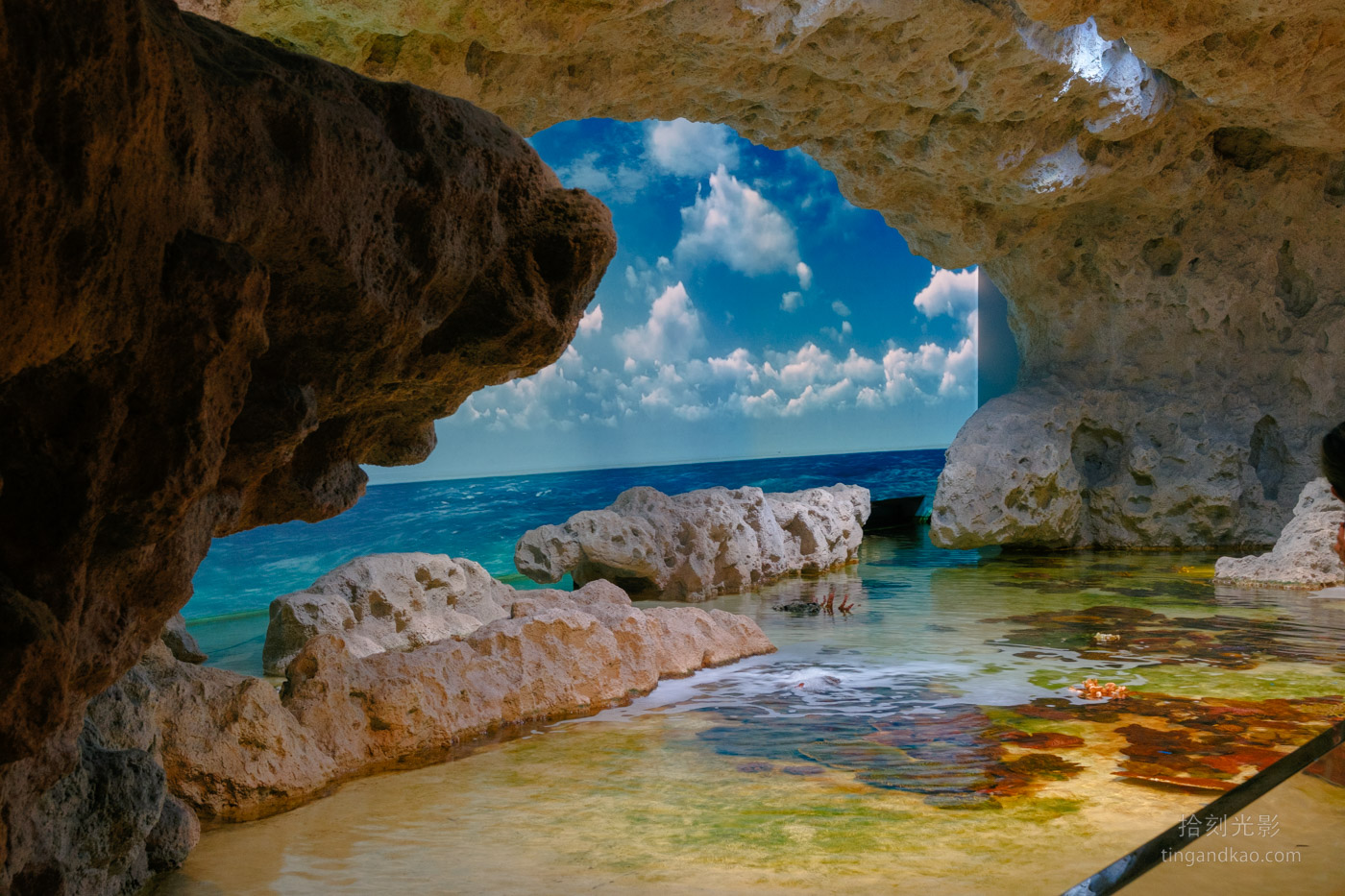 沖繩景點｜DMM水族館 親子互動×餵食體驗全攻略