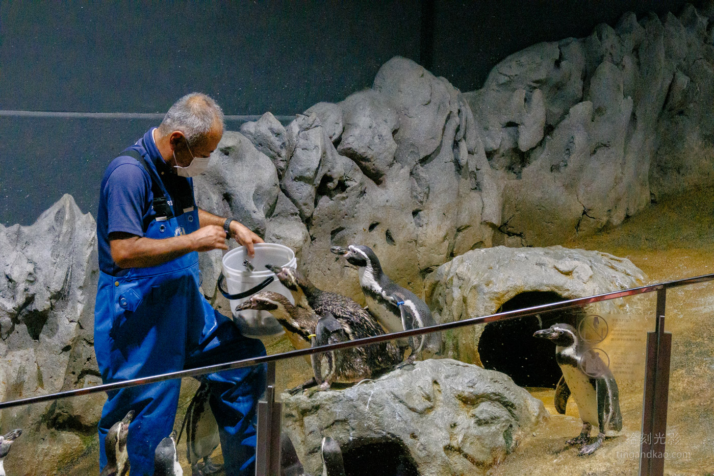 沖繩景點｜DMM水族館 親子互動×餵食體驗全攻略
