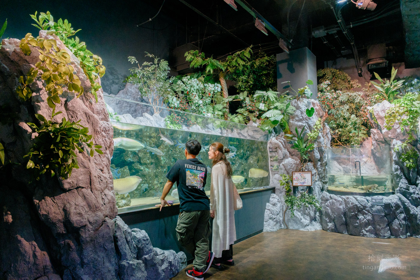 沖繩景點｜DMM水族館 親子互動×餵食體驗全攻略