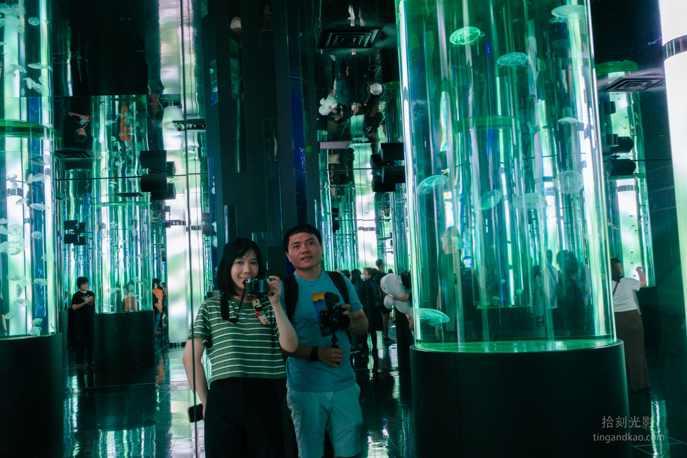 沖繩景點｜DMM水族館 親子互動×餵食體驗全攻略